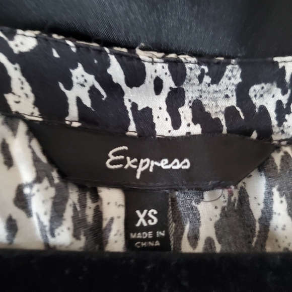 Animal Print Express Silk Dress - Picture 4 of 5